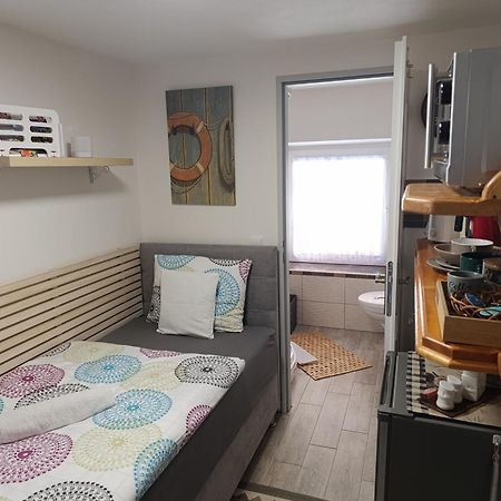 U Bocmana S Vyhledem Na Zamek A Labe Apartment เดชชิน ภายนอก รูปภาพ