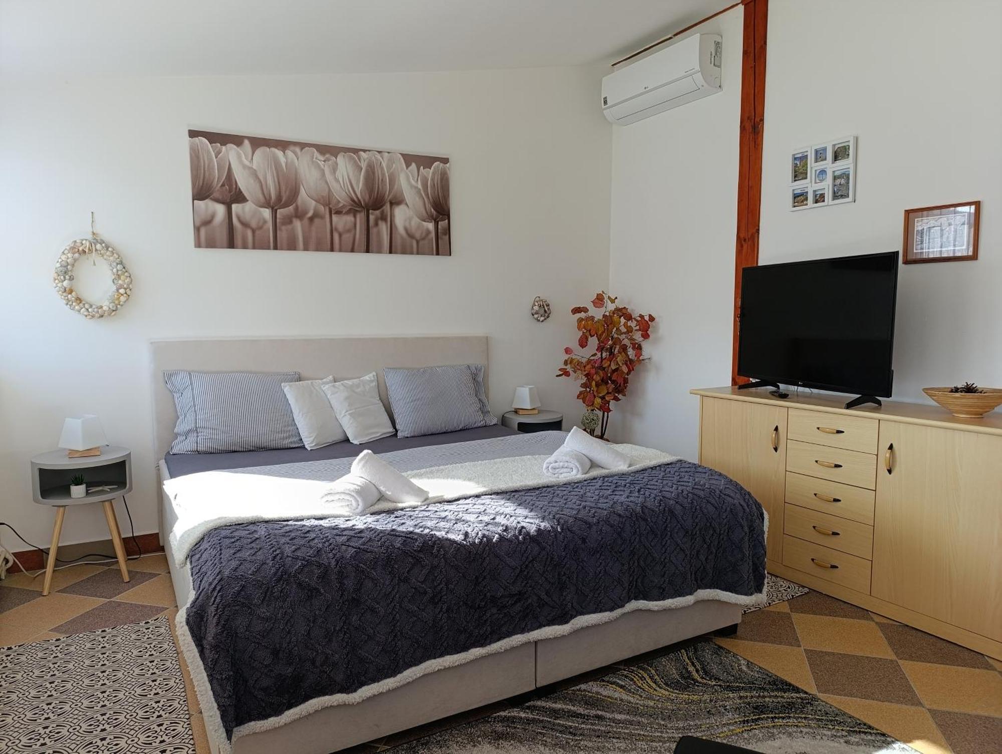 U Bocmana S Vyhledem Na Zamek A Labe Apartment เดชชิน ภายนอก รูปภาพ
