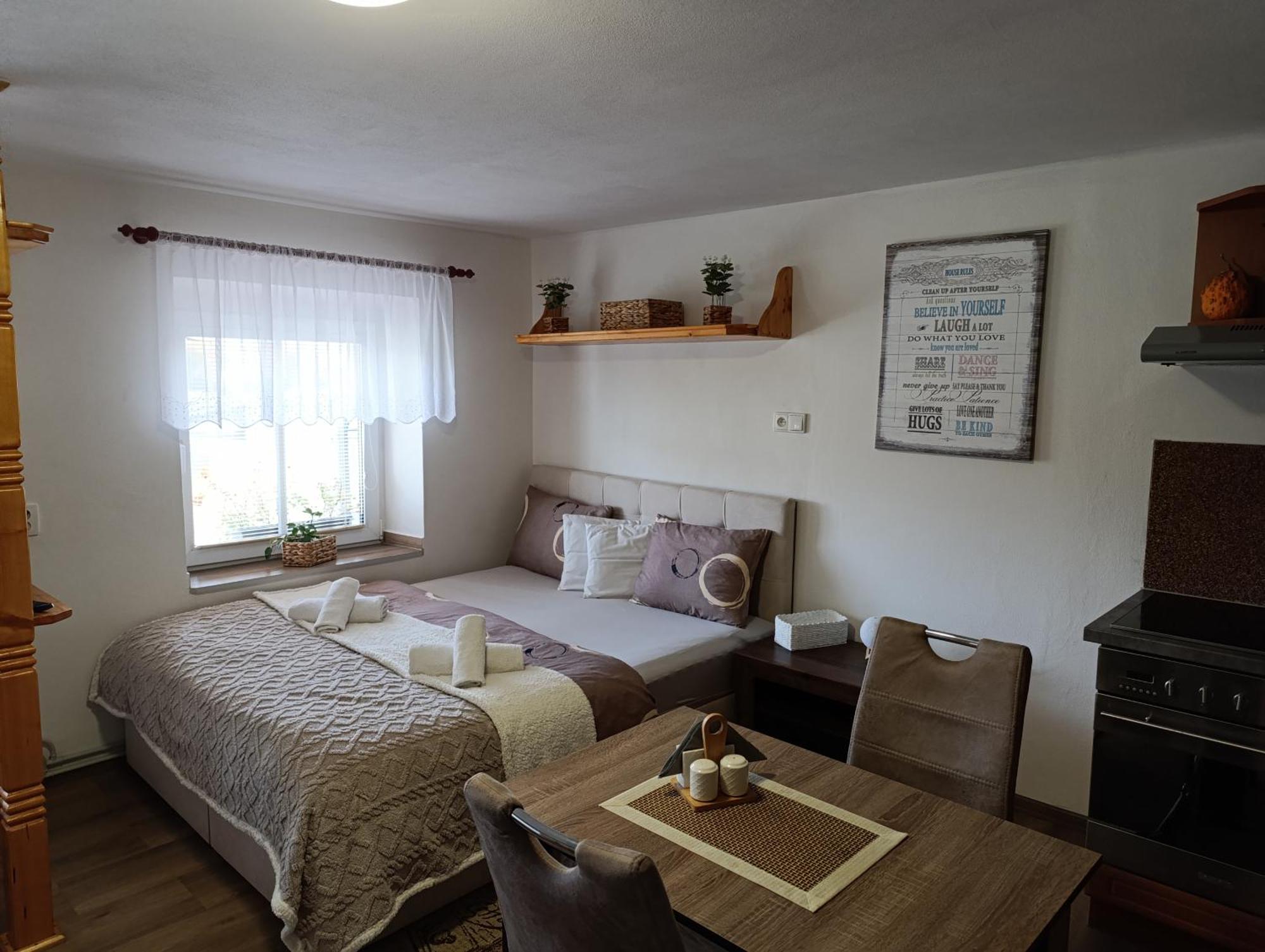 U Bocmana S Vyhledem Na Zamek A Labe Apartment เดชชิน ภายนอก รูปภาพ