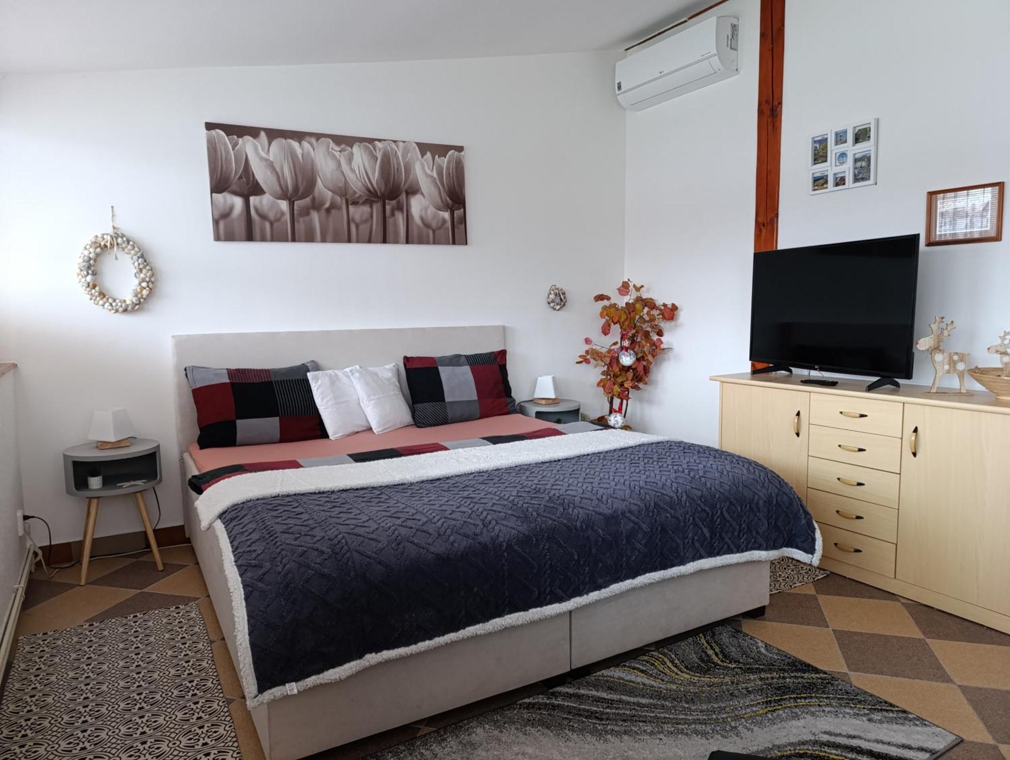 U Bocmana S Vyhledem Na Zamek A Labe Apartment เดชชิน ภายนอก รูปภาพ