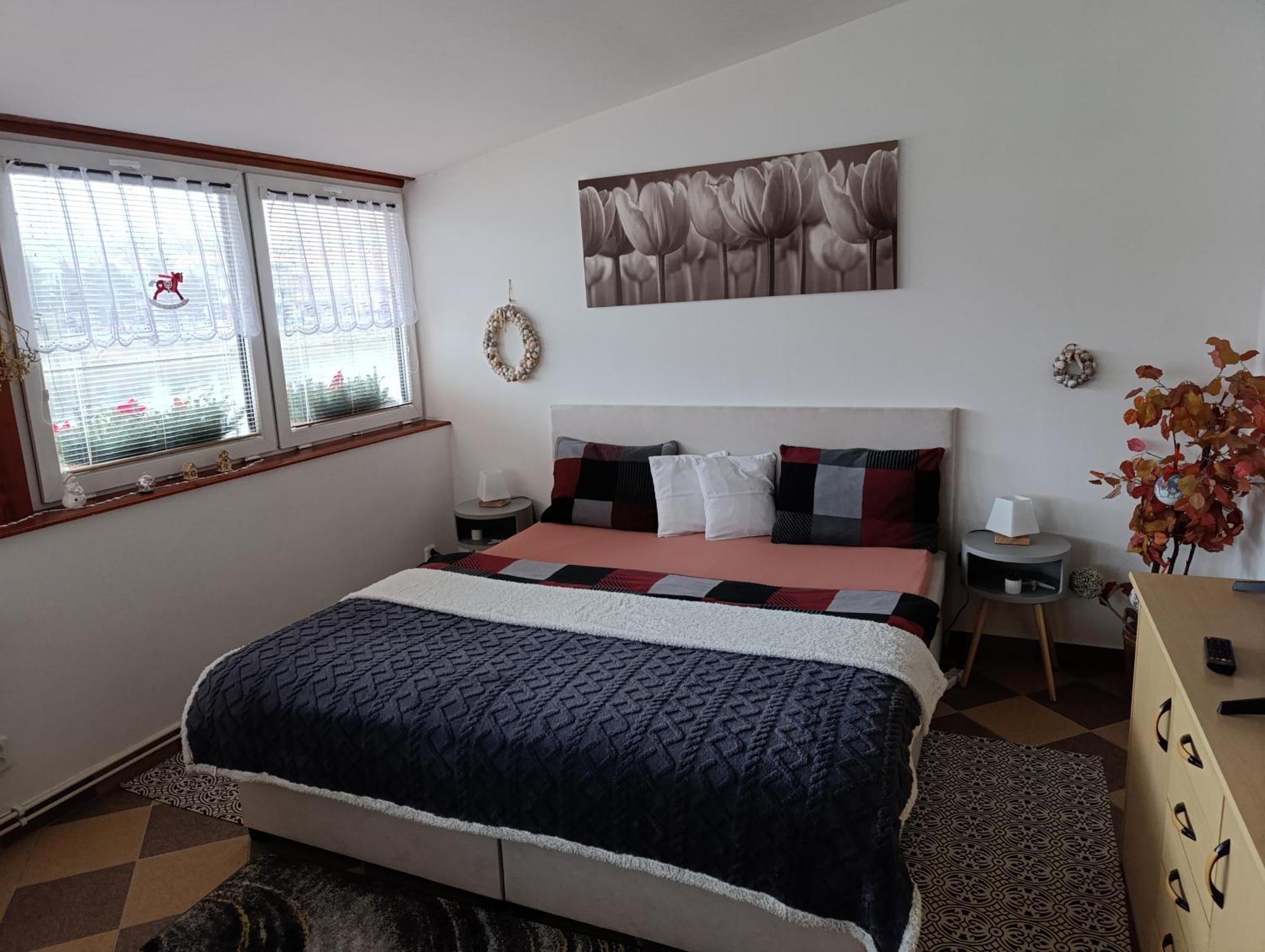 U Bocmana S Vyhledem Na Zamek A Labe Apartment เดชชิน ภายนอก รูปภาพ
