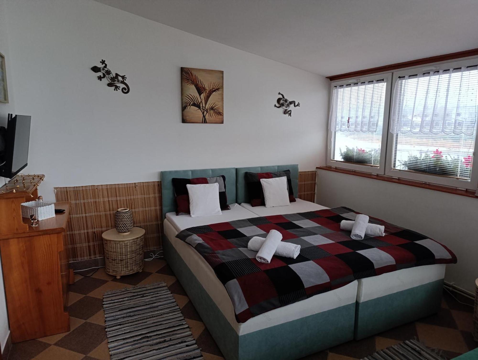 U Bocmana S Vyhledem Na Zamek A Labe Apartment เดชชิน ภายนอก รูปภาพ