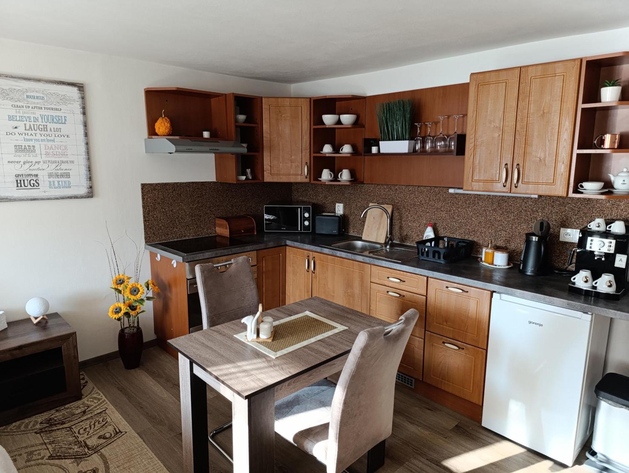 U Bocmana S Vyhledem Na Zamek A Labe Apartment เดชชิน ภายนอก รูปภาพ